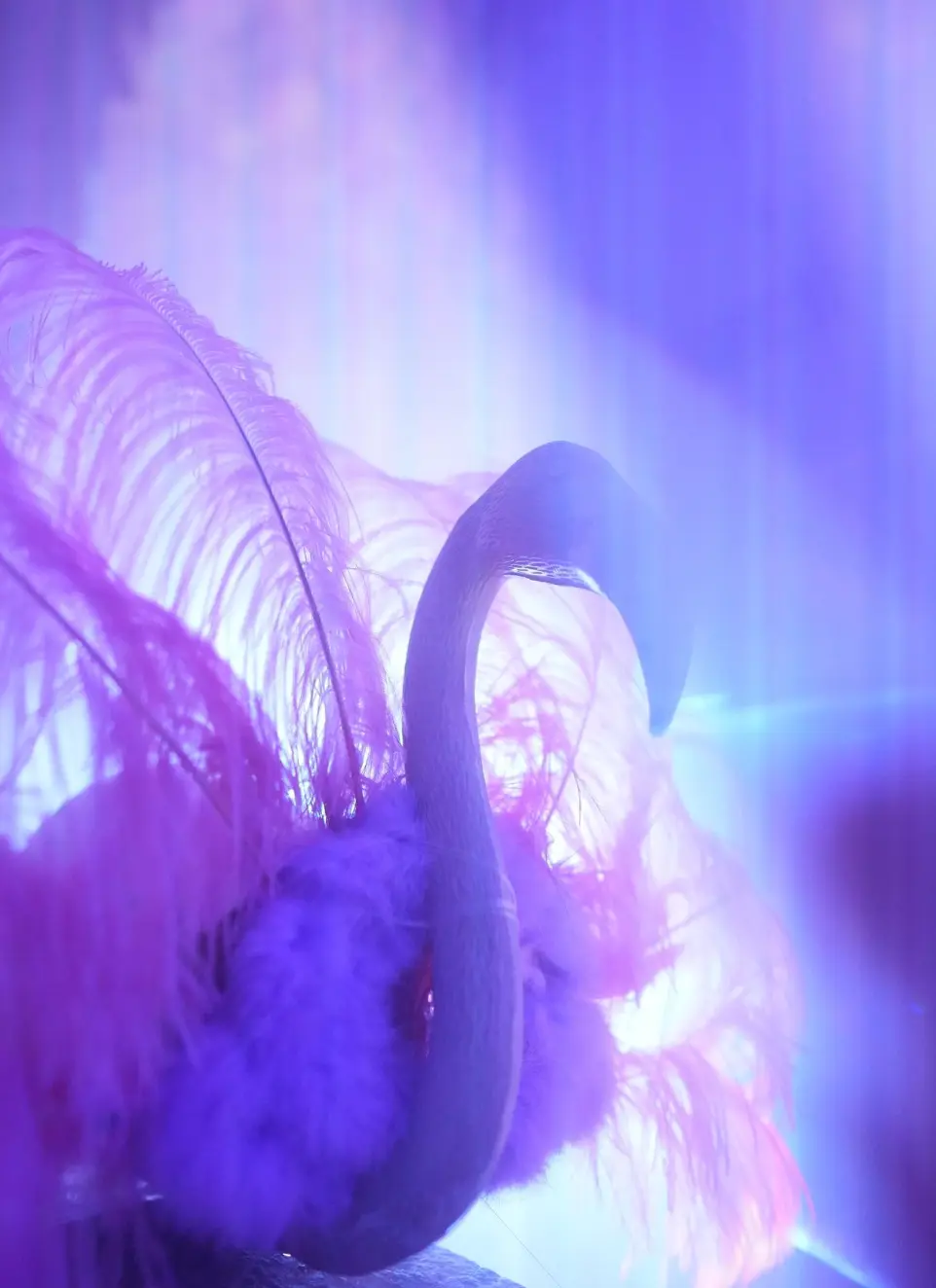 decoration for event