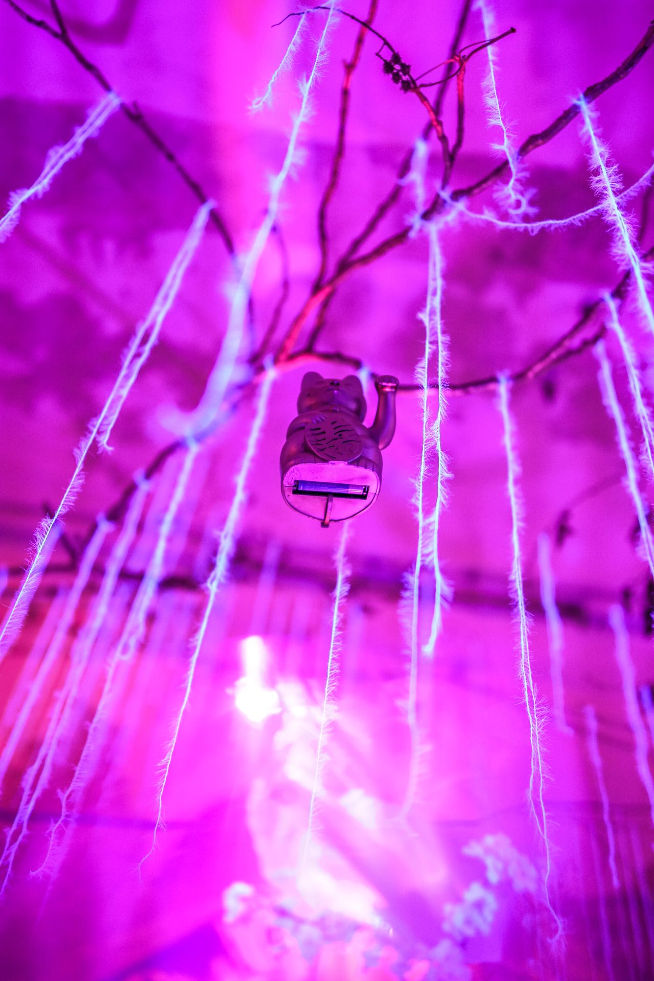 Immersive experiences